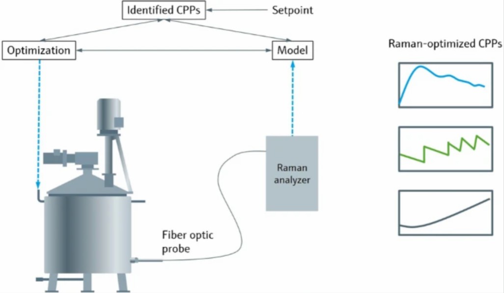 Raman Spectrometer.